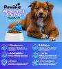 Probiotics for Dogs Digestive Enzymes Gut Flora Digestive Health Immune System Diarrhea Support Itchy Skin Allergies Pumpkin Flaxseed Meal Papaya Powd