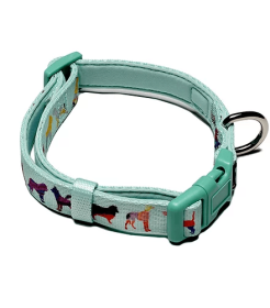 Dog Collar (Color: Seafoam, size: Medium- adjustable)