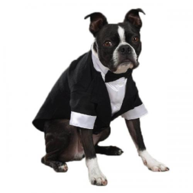 East Side Coll Yappily Ever After Groom Tux (Color: White, size: XL)