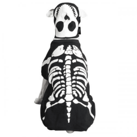 Casual Canine Glow Bones Custom (size: medium)