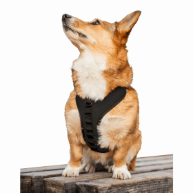 K9 Sport Harness (Color: Anthracite Black, size: Small (13-15" Neck 13-18" Chest))