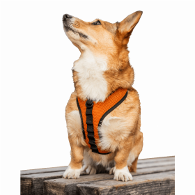 K9 Sport Harness (Color: Sunset Orange, size: X-Small (11-13" Neck 11-15" Chest))