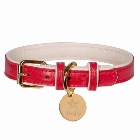 Dog Collar (Color: Melting Hearts, size: XL)