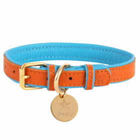 Dog Collar (Color: Vibrant Sunset, size: medium)