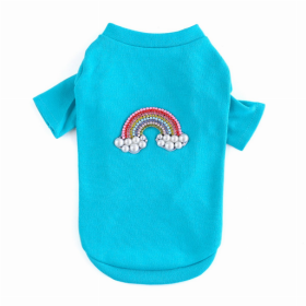 Rainbow Tee (Color: Aqua, size: small)