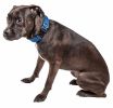 Pet Life 'Aero Mesh' 360 Degree Dual Sided Comfortable And Breathable Adjustable Mesh Dog Collar